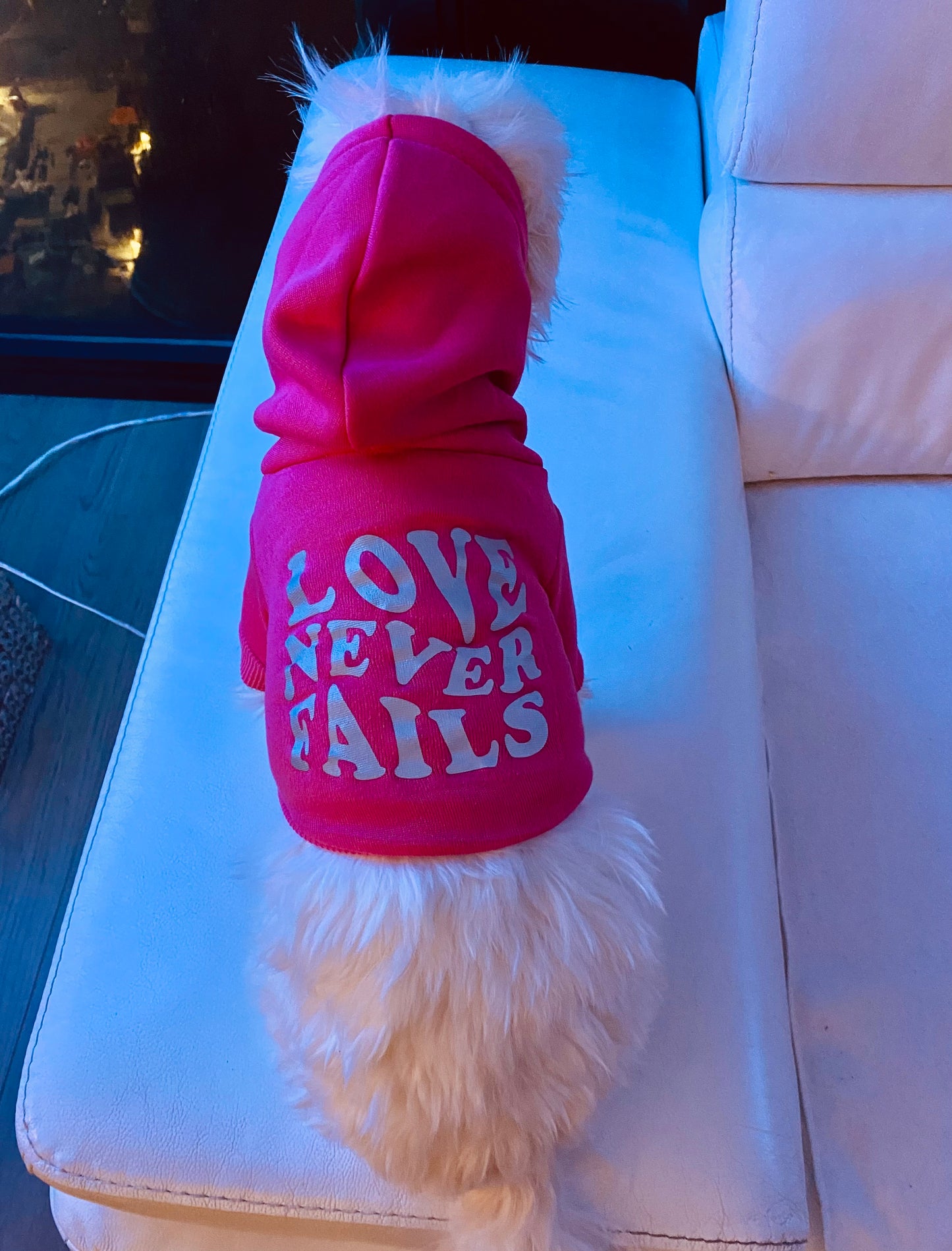 Love Never Fails Dog Hoodie